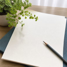 슬로우 급여 볼